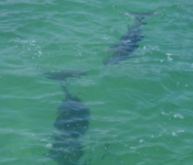 Cancun05 067
